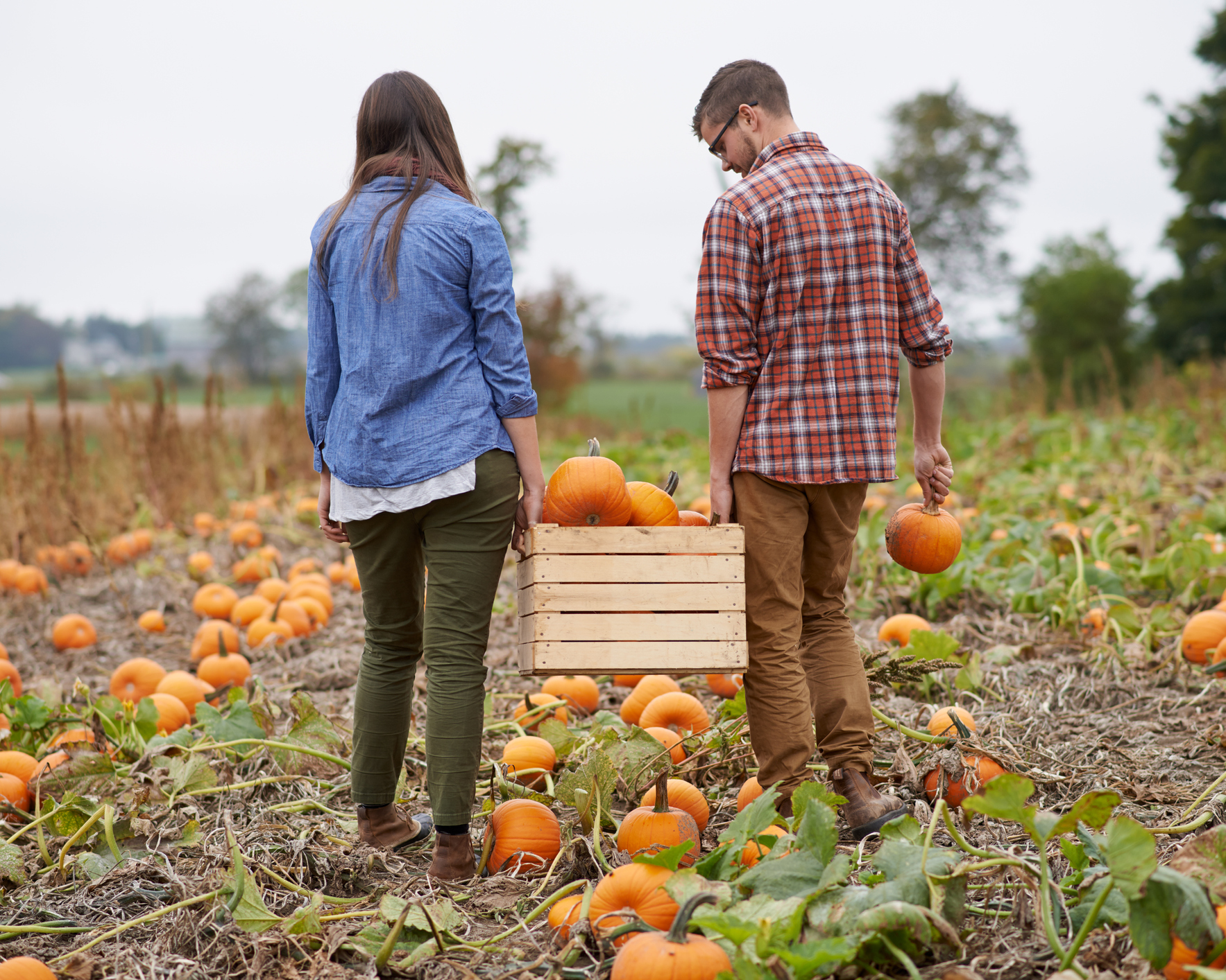 cozy fall date ideas