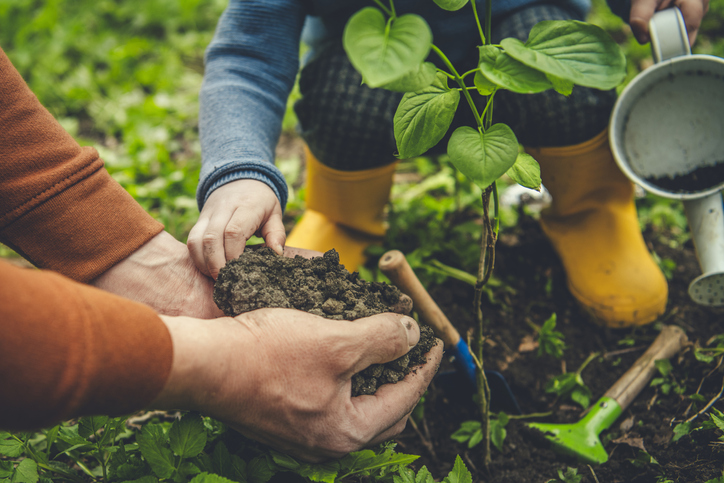 father and child gardening