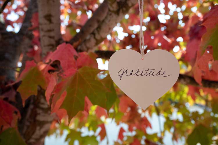 GRATITUDE HEART IN FALL TREE