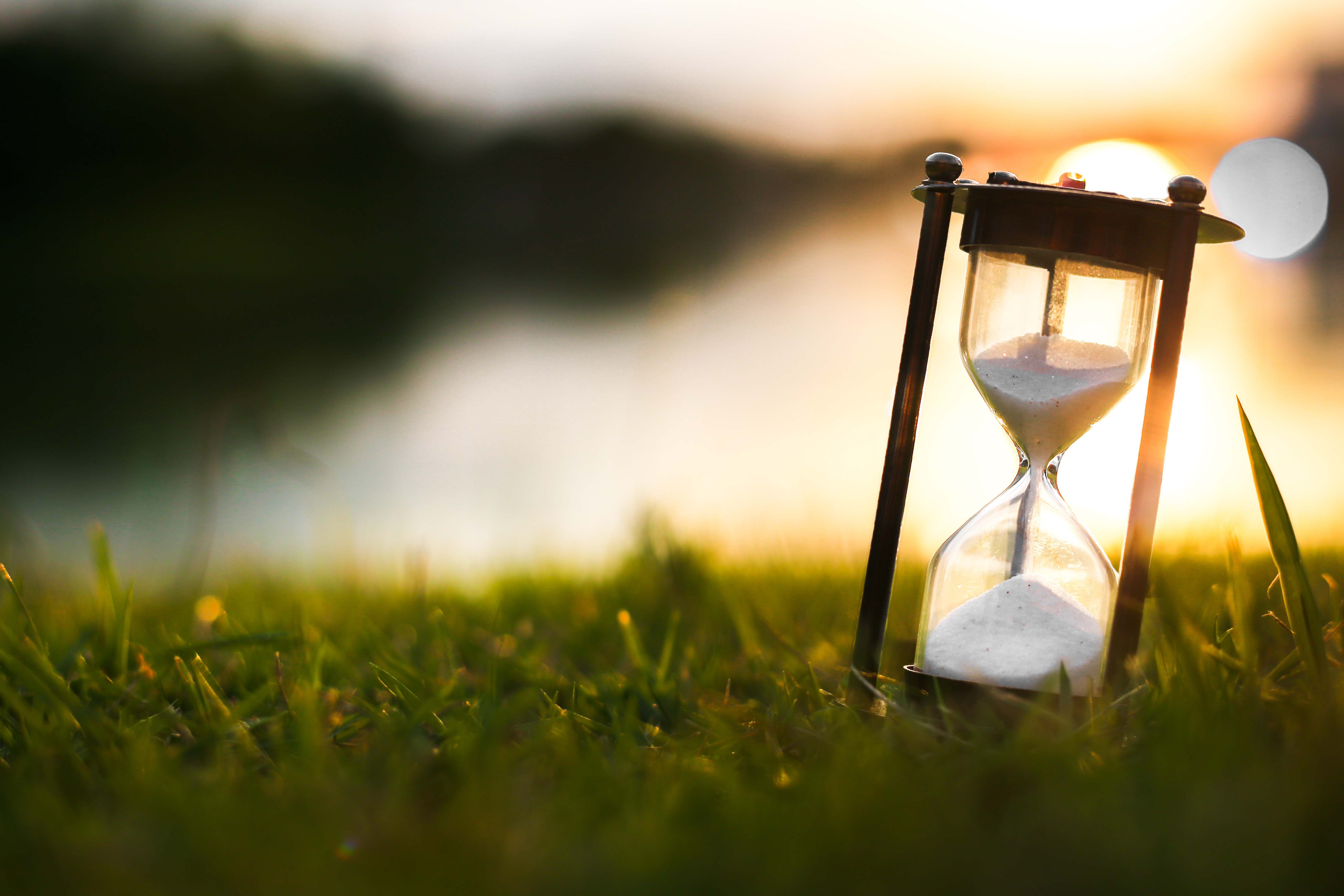 hourglass in the grass