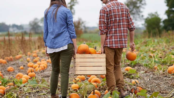 cozy fall date ideas