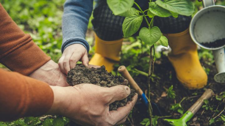 father and child gardening