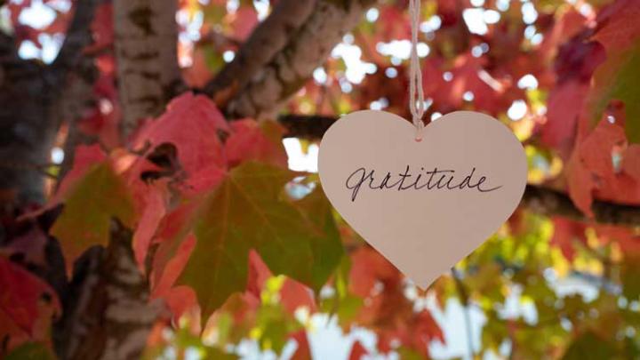 GRATITUDE HEART IN FALL TREE