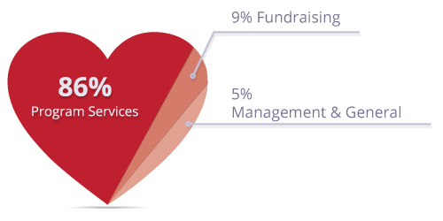 Donations pie graph in shape of a heart